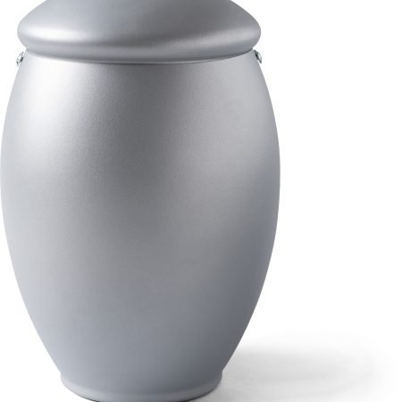 Tulipán